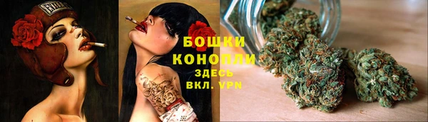 амф Ладушкин