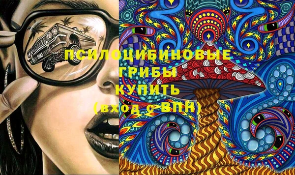 амф Ладушкин