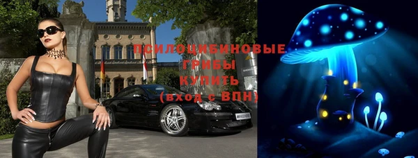 амф Ладушкин