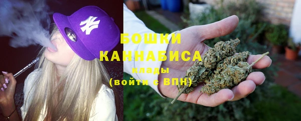 амф Ладушкин